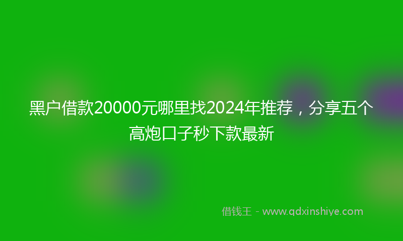 黑户借款20000元哪里找2024年推荐，分享五个高炮口子秒下款最新