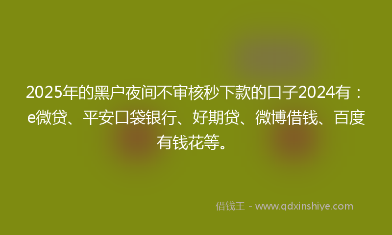 2025年的黑户夜间不审核秒下款的口子2024有：e微贷、平安口袋银行、好期贷、微博借钱、百度有钱花等。