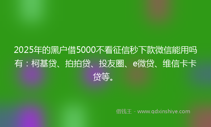 2025年的黑户借5000不看征信秒下款微信能用吗有：柯基贷、拍拍贷、投友圈、e微贷、维信卡卡贷等。