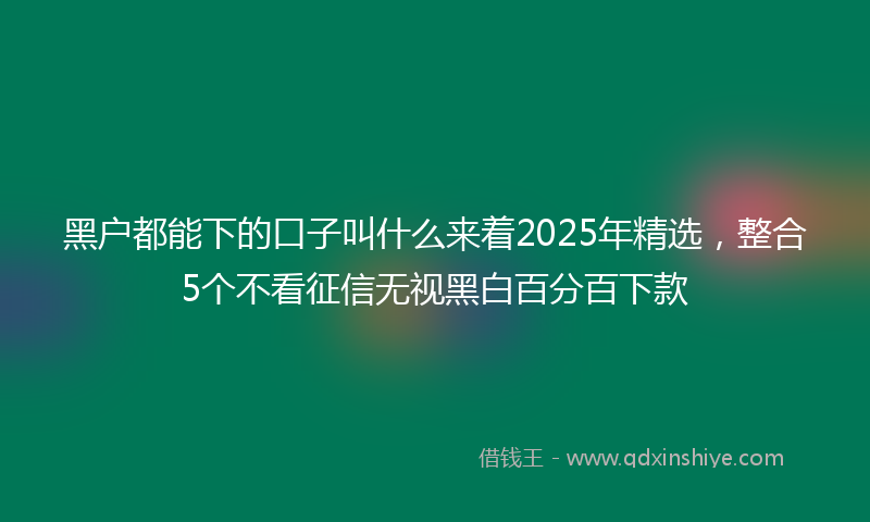黑户都能下的口子叫什么来着2025年精选，整合5个不看征信无视黑白百分百下款