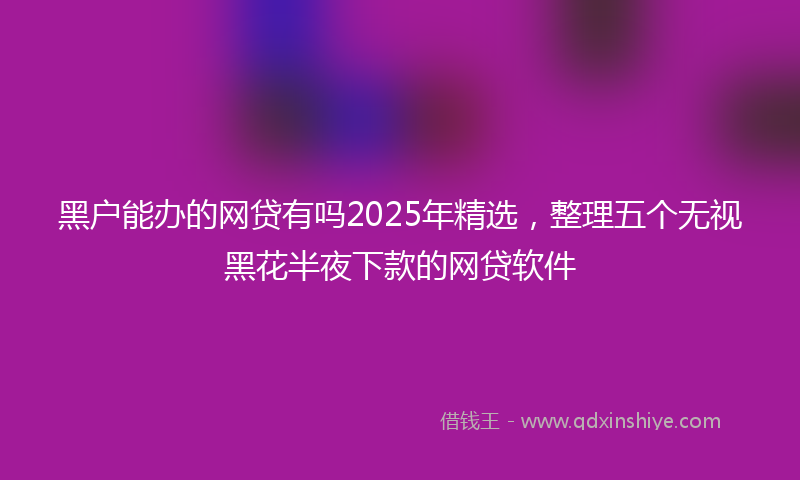 黑户能办的网贷有吗2025年精选，整理五个无视黑花半夜下款的网贷软件