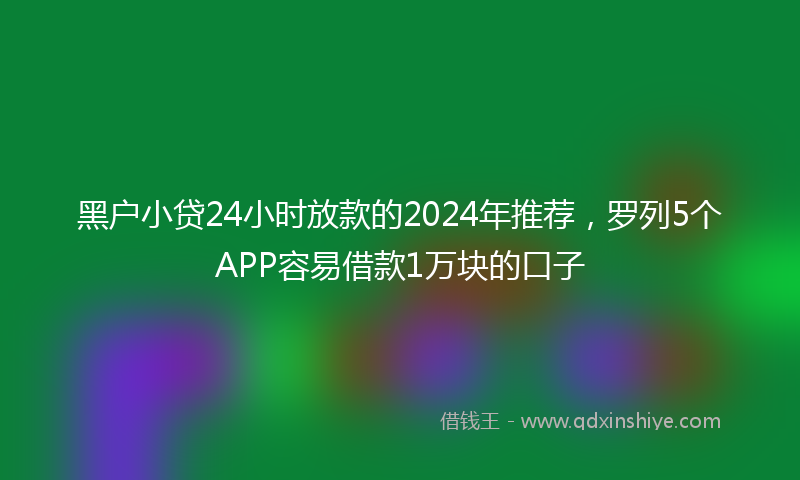 黑户小贷24小时放款的2024年推荐，罗列5个APP容易借款1万块的口子