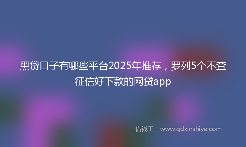 黑贷口子有哪些平台2025年推荐，罗列5个不查征信好下款的网贷app