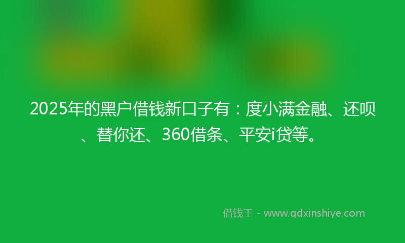 2025年的黑户借钱新口子有：度小满金融、还呗、替你还、360借条、平安i贷等。
