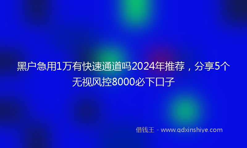 黑户急用1万有快速通道吗2024年推荐，分享5个无视风控8000必下口子