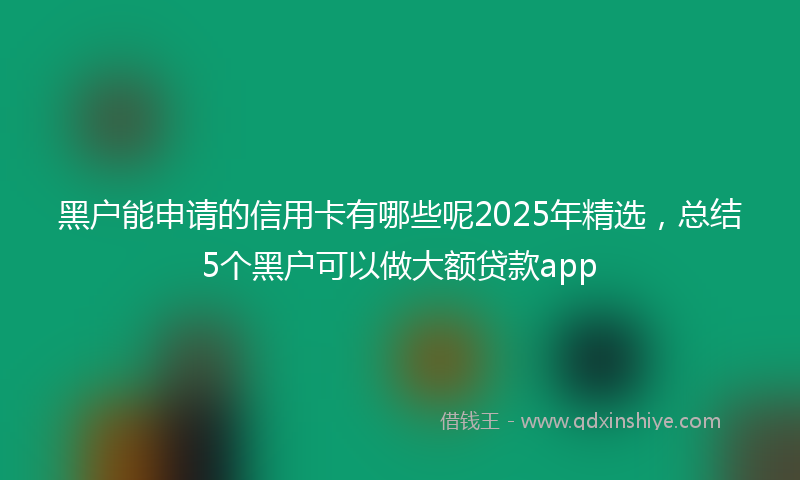 黑户能申请的信用卡有哪些呢2025年精选，总结5个黑户可以做大额贷款app