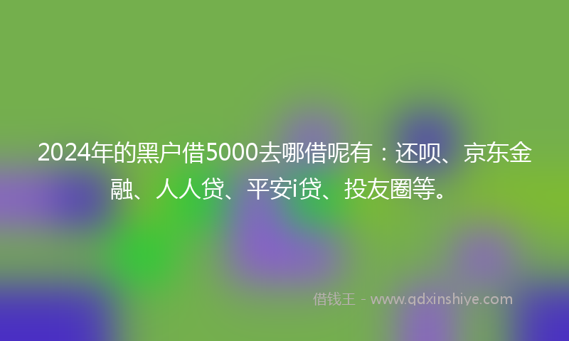 2024年的黑户借5000去哪借呢有：还呗、京东金融、人人贷、平安i贷、投友圈等。