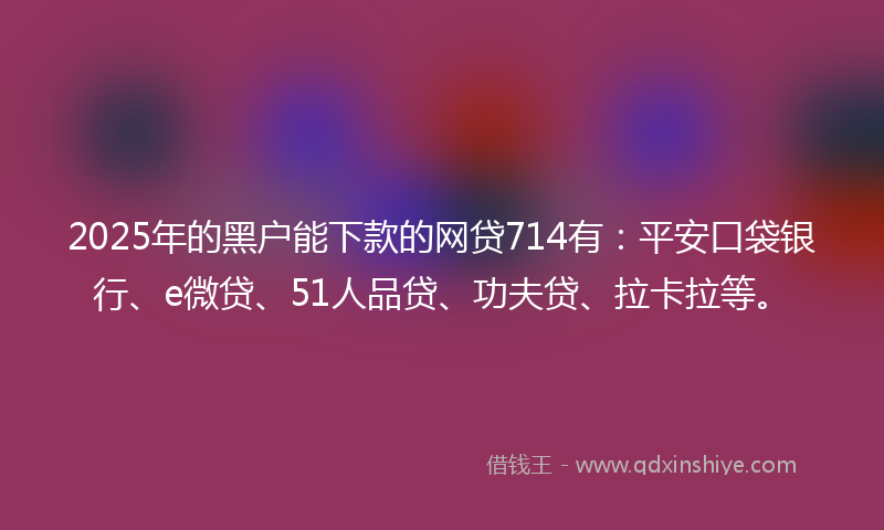2025年的黑户能下款的网贷714有：平安口袋银行、e微贷、51人品贷、功夫贷、拉卡拉等。