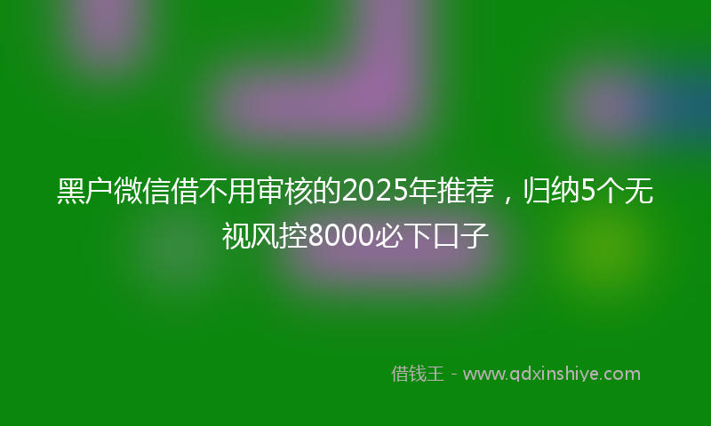 黑户微信借不用审核的2025年推荐，归纳5个无视风控8000必下口子