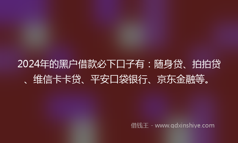 2024年的黑户借款必下口子有：随身贷、拍拍贷、维信卡卡贷、平安口袋银行、京东金融等。