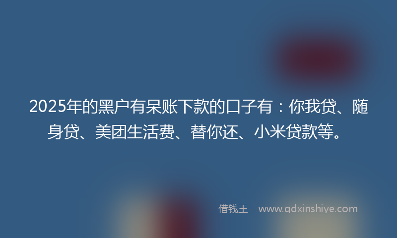 2025年的黑户有呆账下款的口子有：你我贷、随身贷、美团生活费、替你还、小米贷款等。