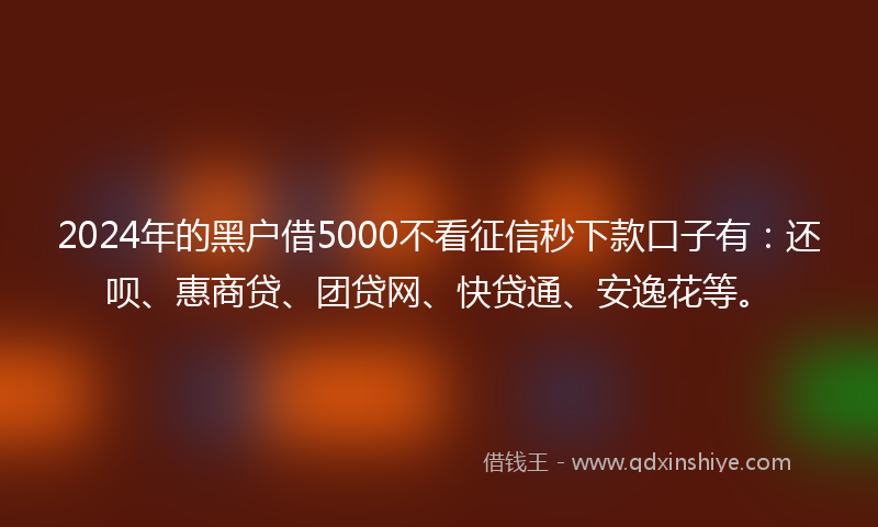 2024年的黑户借5000不看征信秒下款口子有：还呗、惠商贷、团贷网、快贷通、安逸花等。