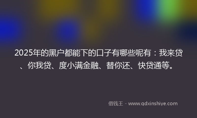 2025年的黑户都能下的口子有哪些呢有：我来贷、你我贷、度小满金融、替你还、快贷通等。