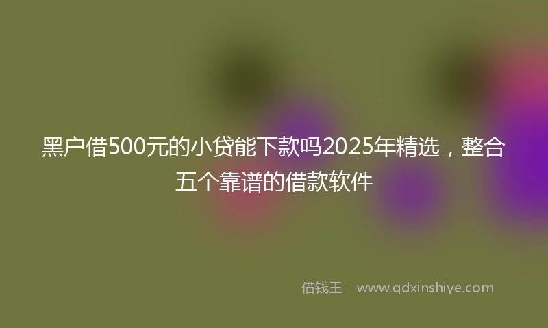 黑户借500元的小贷能下款吗2025年精选，整合五个靠谱的借款软件