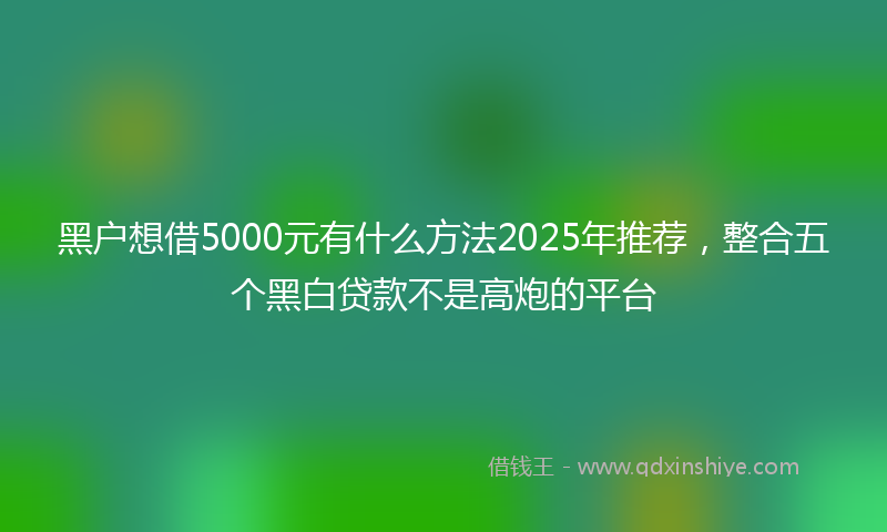 黑户想借5000元有什么方法2025年推荐，整合五个黑白贷款不是高炮的平台