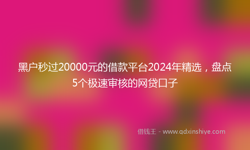 黑户秒过20000元的借款平台2024年精选，盘点5个极速审核的网贷口子
