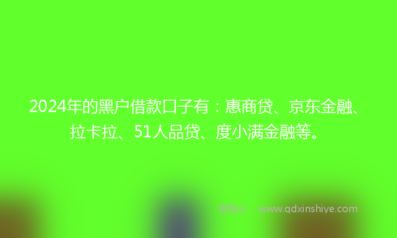 2024年的黑户借款口子有：惠商贷、京东金融、拉卡拉、51人品贷、度小满金融等。