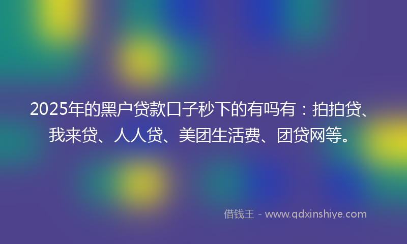 2025年的黑户贷款口子秒下的有吗有：拍拍贷、我来贷、人人贷、美团生活费、团贷网等。