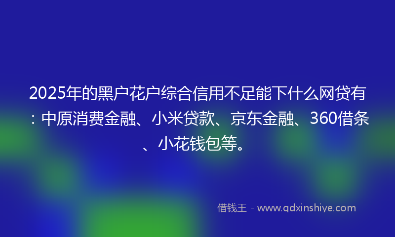 2025年的黑户花户综合信用不足能下什么网贷有：中原消费金融、小米贷款、京东金融、360借条、小花钱包等。