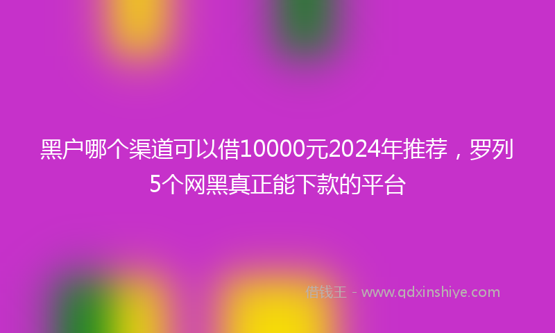 黑户哪个渠道可以借10000元2024年推荐，罗列5个网黑真正能下款的平台
