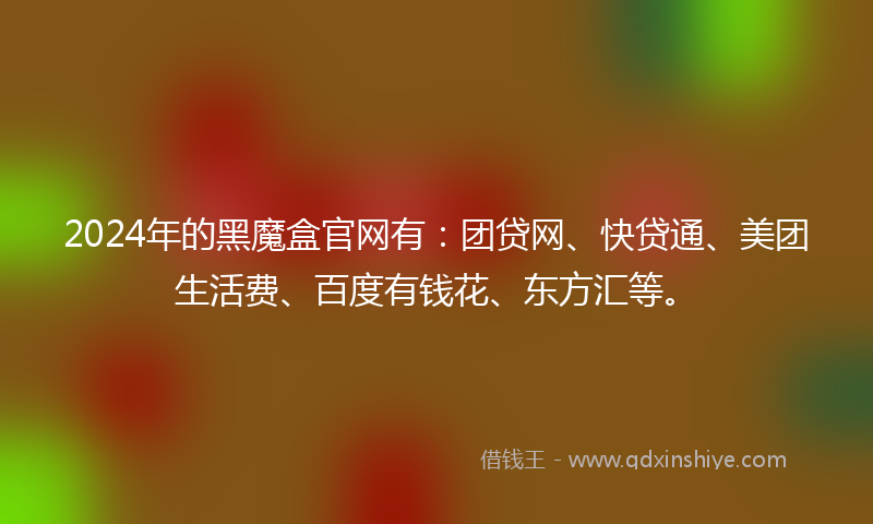 2024年的黑魔盒官网有：团贷网、快贷通、美团生活费、百度有钱花、东方汇等。
