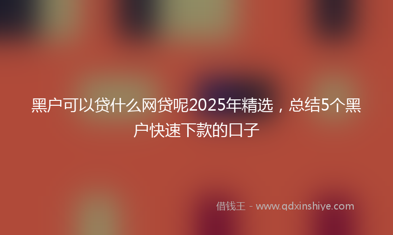 黑户可以贷什么网贷呢2025年精选，总结5个黑户快速下款的口子