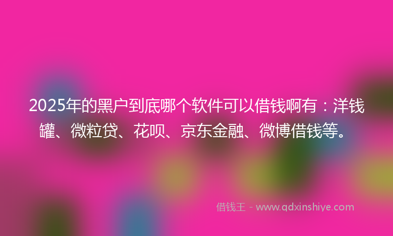 2025年的黑户到底哪个软件可以借钱啊有：洋钱罐、微粒贷、花呗、京东金融、微博借钱等。