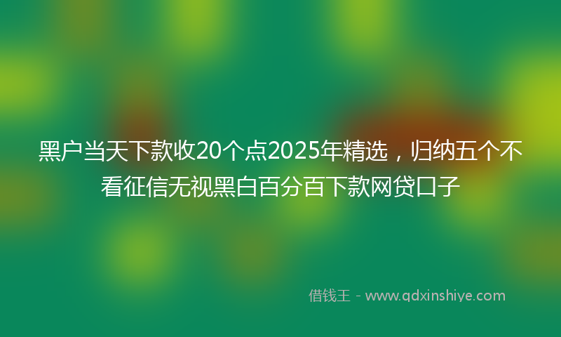 黑户当天下款收20个点2025年精选，归纳五个不看征信无视黑白百分百下款网贷口子