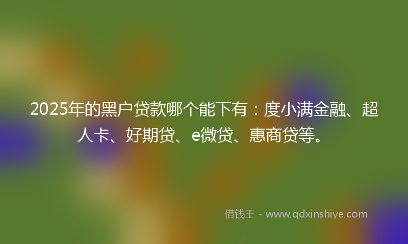 2025年的黑户贷款哪个能下有：度小满金融、超人卡、好期贷、e微贷、惠商贷等。