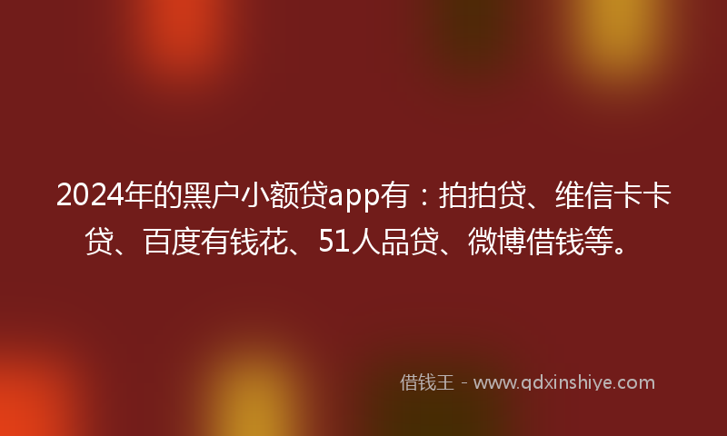 2024年的黑户小额贷app有：拍拍贷、维信卡卡贷、百度有钱花、51人品贷、微博借钱等。