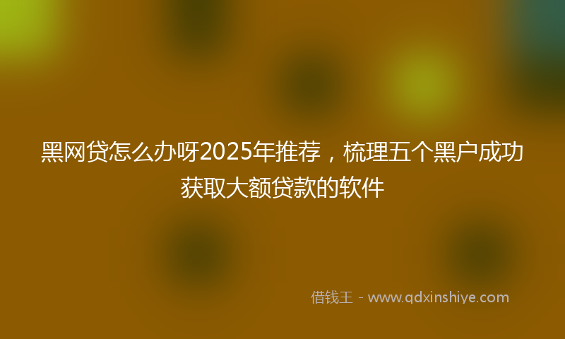 黑网贷怎么办呀2025年推荐，梳理五个黑户成功获取大额贷款的软件