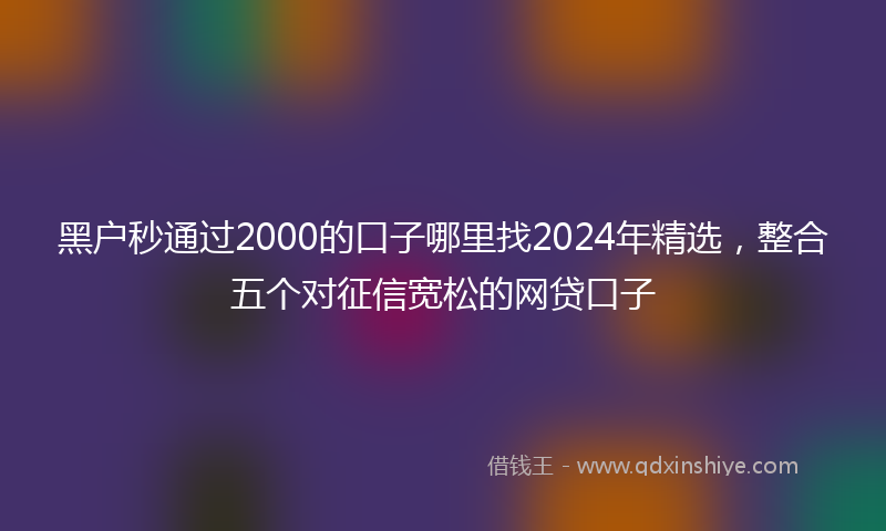 黑户秒通过2000的口子哪里找2024年精选，整合五个对征信宽松的网贷口子
