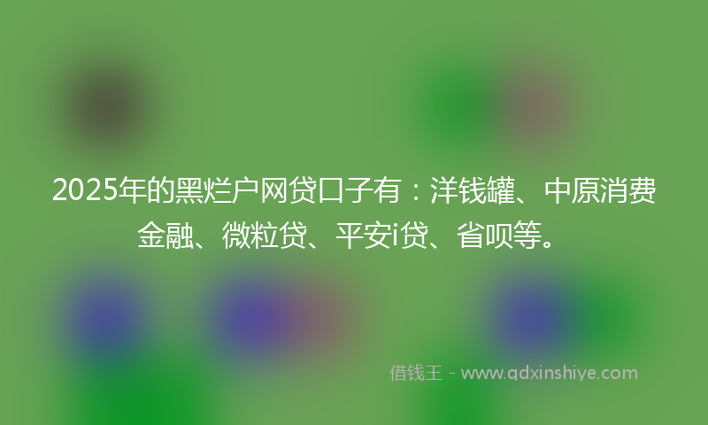 2025年的黑烂户网贷口子有：洋钱罐、中原消费金融、微粒贷、平安i贷、省呗等。