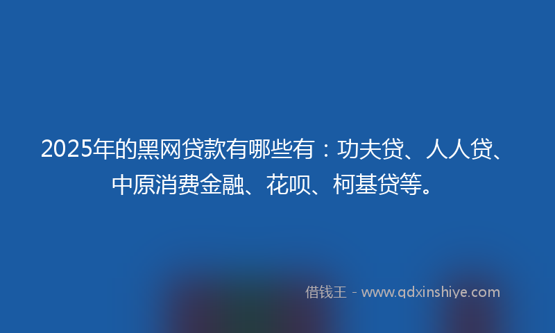 2025年的黑网贷款有哪些有：功夫贷、人人贷、中原消费金融、花呗、柯基贷等。