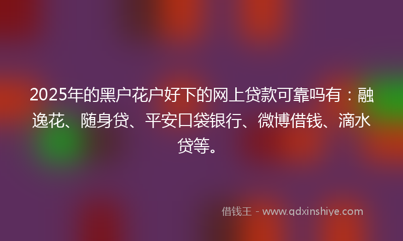 2025年的黑户花户好下的网上贷款可靠吗有：融逸花、随身贷、平安口袋银行、微博借钱、滴水贷等。
