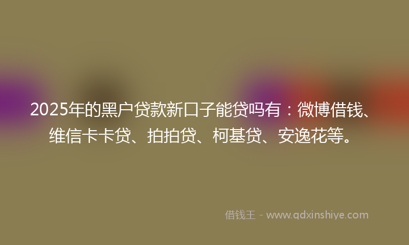 2025年的黑户贷款新口子能贷吗有：微博借钱、维信卡卡贷、拍拍贷、柯基贷、安逸花等。