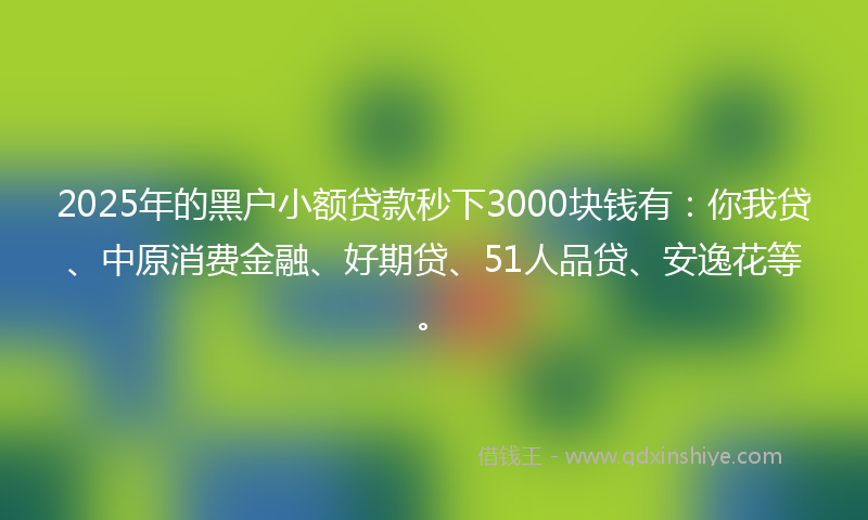 2025年的黑户小额贷款秒下3000块钱有：你我贷、中原消费金融、好期贷、51人品贷、安逸花等。