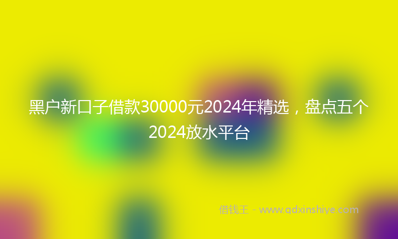 黑户新口子借款30000元2024年精选，盘点五个2024放水平台