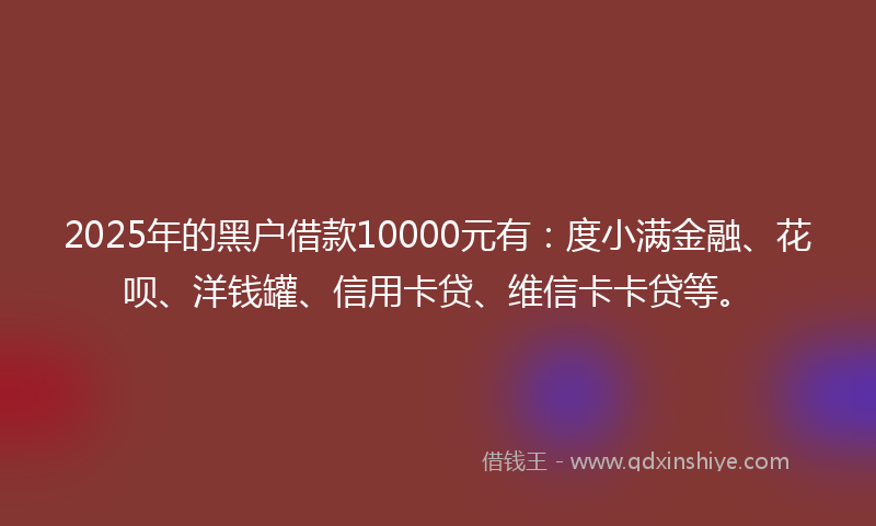 2025年的黑户借款10000元有：度小满金融、花呗、洋钱罐、信用卡贷、维信卡卡贷等。