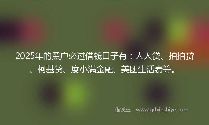 2025年的黑户必过借钱口子有：人人贷、拍拍贷、柯基贷、度小满金融、美团生活费等。