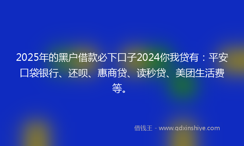 2025年的黑户借款必下口子2024你我贷有：平安口袋银行、还呗、惠商贷、读秒贷、美团生活费等。