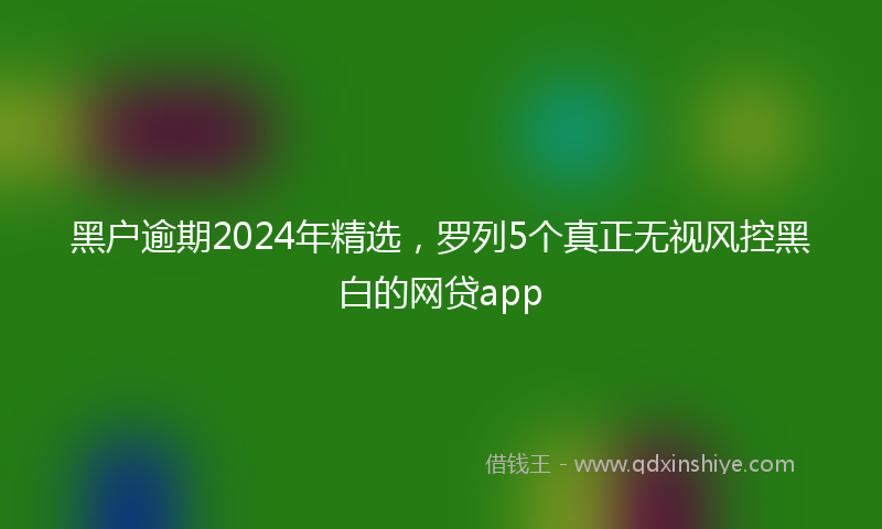 黑户逾期2024年精选，罗列5个真正无视风控黑白的网贷app