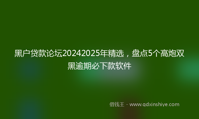 黑户贷款论坛20242025年精选，盘点5个高炮双黑逾期必下款软件