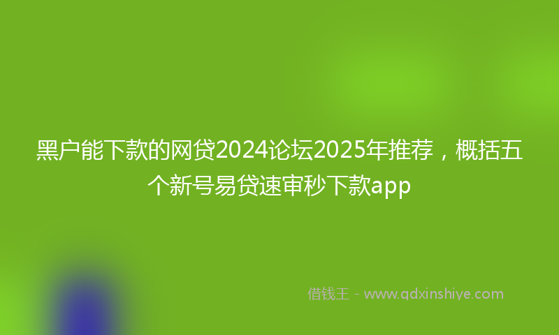 黑户能下款的网贷2024论坛2025年推荐，概括五个新号易贷速审秒下款app