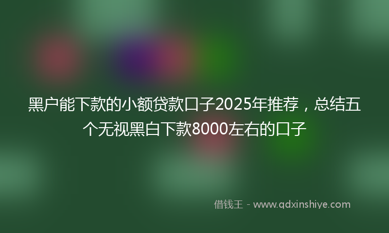 黑户能下款的小额贷款口子2025年推荐，总结五个无视黑白下款8000左右的口子