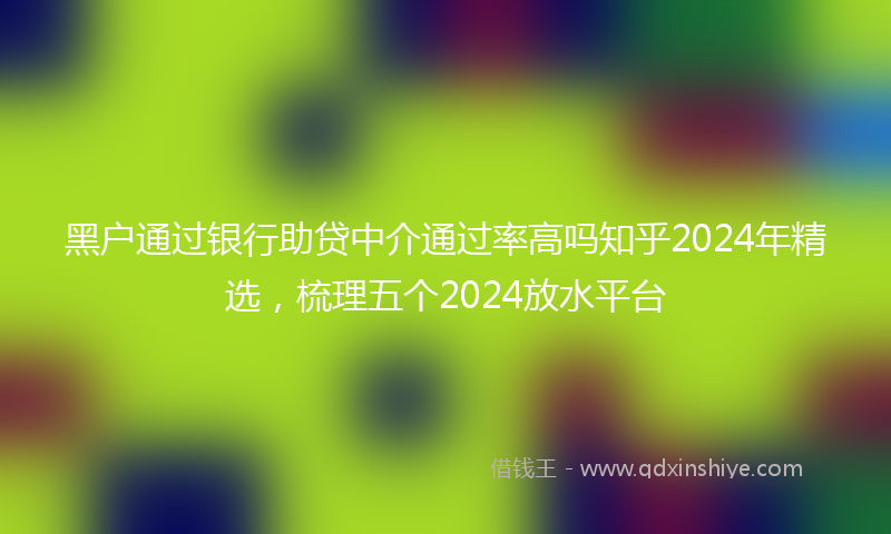 黑户通过银行助贷中介通过率高吗知乎2024年精选，梳理五个2024放水平台