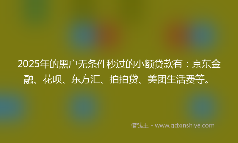 2025年的黑户无条件秒过的小额贷款有：京东金融、花呗、东方汇、拍拍贷、美团生活费等。