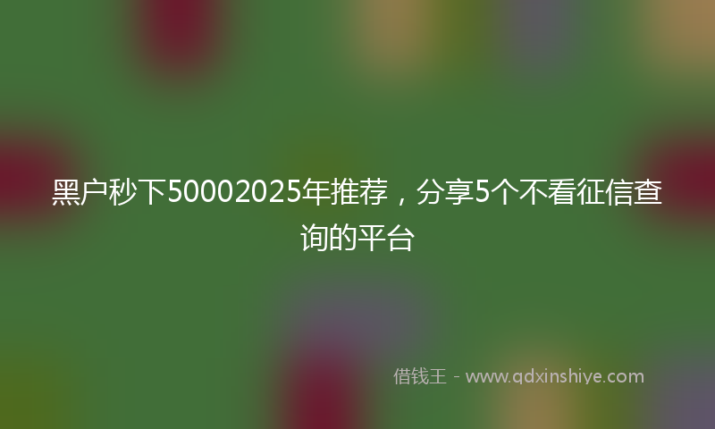 黑户秒下50002025年推荐，分享5个不看征信查询的平台