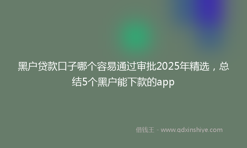 黑户贷款口子哪个容易通过审批2025年精选，总结5个黑户能下款的app