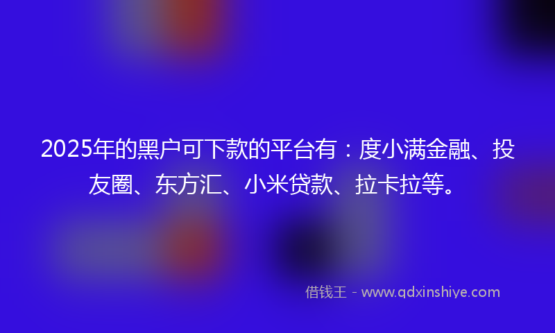 2025年的黑户可下款的平台有：度小满金融、投友圈、东方汇、小米贷款、拉卡拉等。